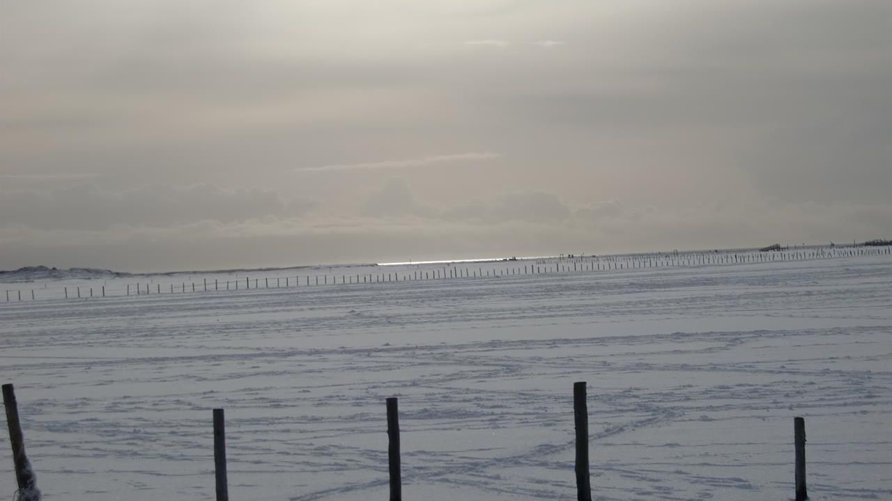 bei Schnee am Strand bei Schnee am Strand